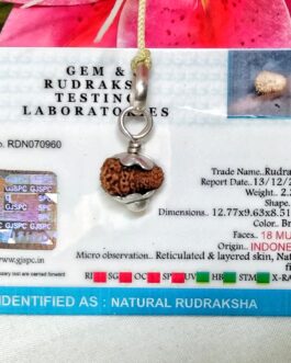Lab tested 18 Mukhi Rudraksha Indonesia, 12.77mm size in silver pendant