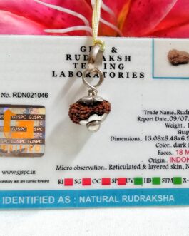Lab tested 18 Mukhi Rudraksha Indonesia, 13.08mm size in silver pendant