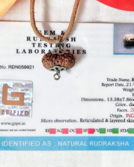 Lab tested 20 Mukhi Rudraksha Indonesia, 13.38mm size in silver pendant