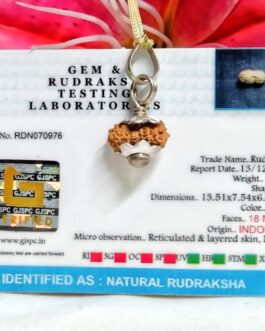 Lab tested 18 Mukhi Rudraksha Indonesia, 13.51mm size in silver pendant