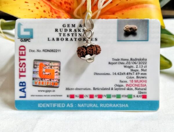Lab tested 18 Mukhi Rudraksha Indonesia, 14.42mm size in silver pendant
