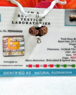Lab tested 18 Mukhi Rudraksha Indonesia, 14.84mm size in silver pendant