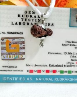 Lab tested 18 Mukhi Rudraksha Indonesia, 15.36mm size in silver pendant