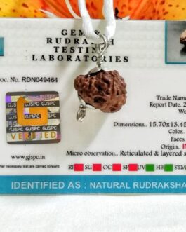 lab tested 18 Mukhi Rudraksha Indonesia, 15.70mm in silver pendant
