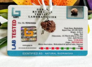 lab tested 18 Mukhi Rudraksha Indonesia, 15.70mm in silver pendant