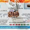 Lab Tested Online 16 Mukhi Rudraksha Indonesia 22.50 mm size, in silver pendant