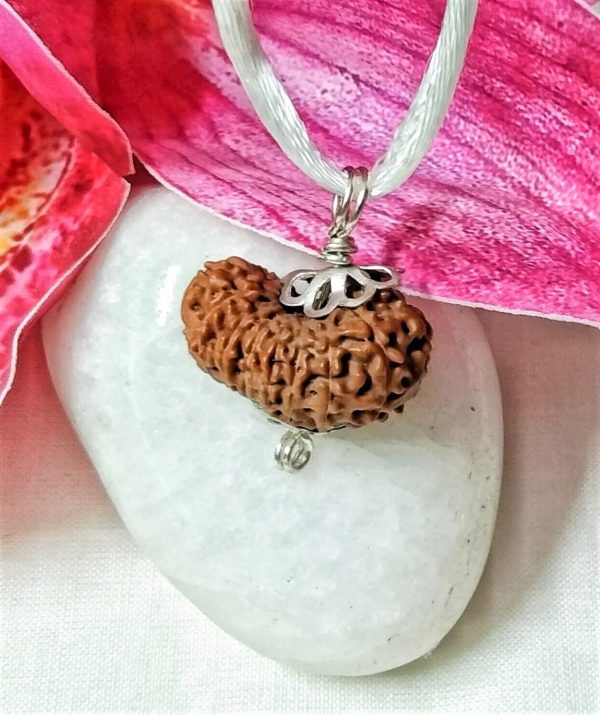 Online 16 mukhi rudraksha Indonesia 21.30 mm size, in silver pendant