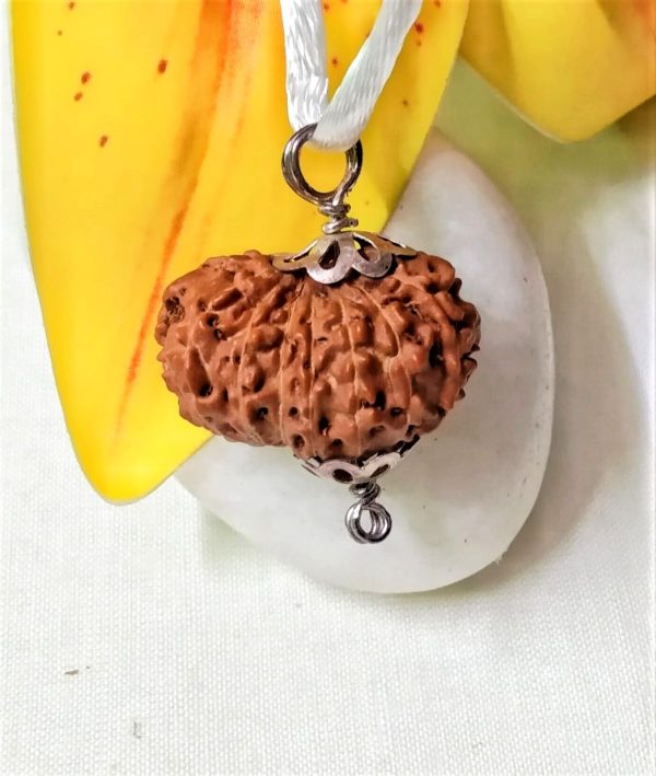 Online 16 Mukhi Rudraksha Indonesia 23.95 mm size, in silver pendant