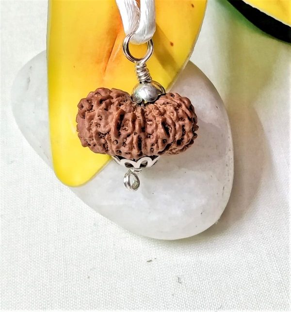 Online 16 Mukhi Rudraksha Indonesia 22.50 mm size, in silver pendant