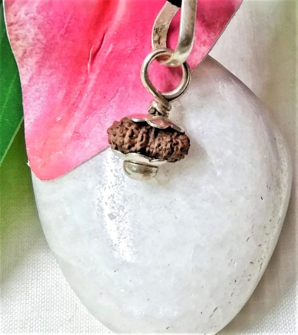 Online 16 Mukhi Rudraksha Indonesian, 11.60mm size in silver pendant