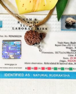 Lab tested 20 Mukhi Rudraksha Indonesia,18.71mm size in silver pendant