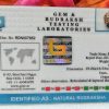 2 mukhi certificate pic