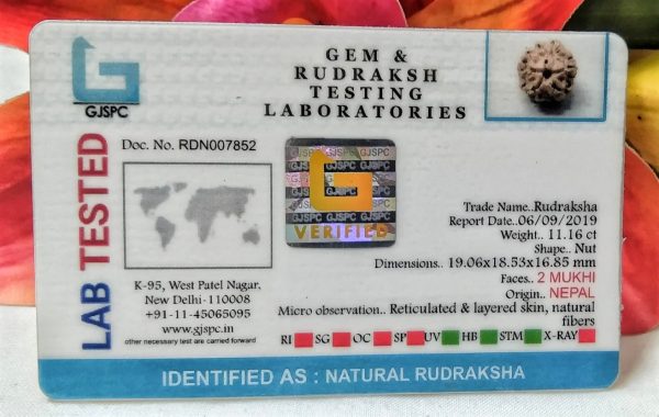 2 mukhi certificate pic
