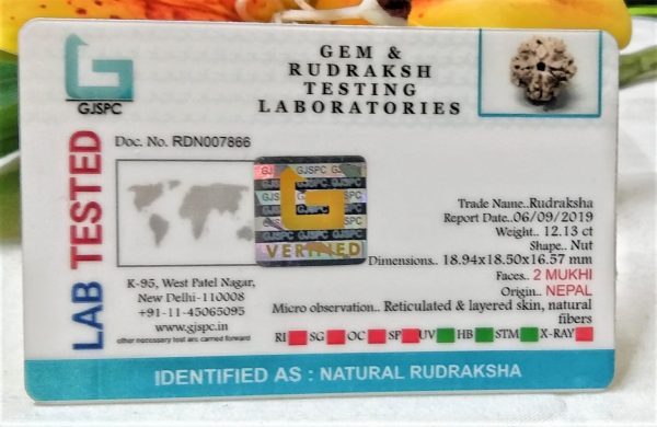 2 mukhi certificate pic