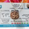 2 mukhi pic