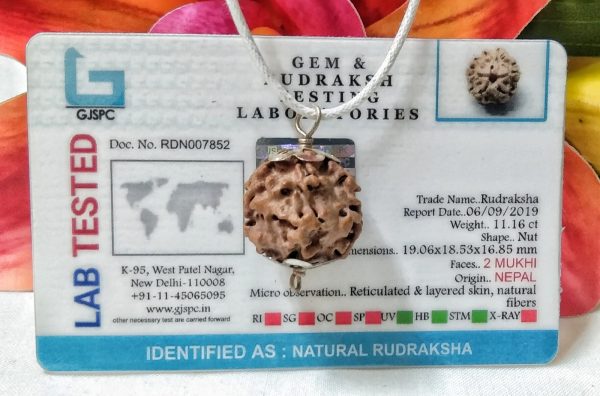 2 mukhi pic