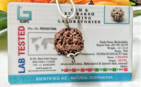 2 mukhi pic