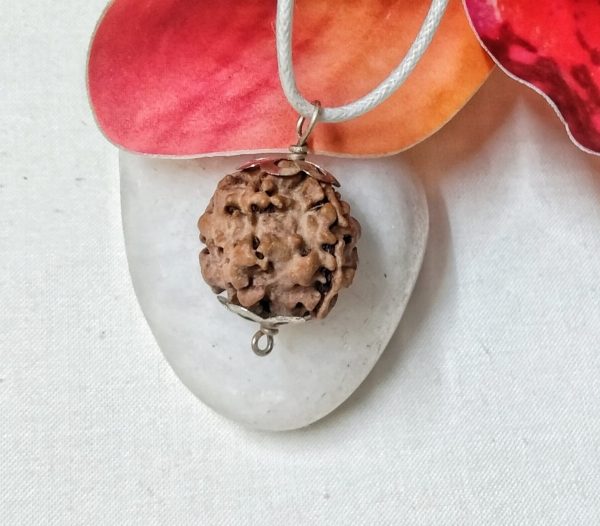 2 mukhi pic