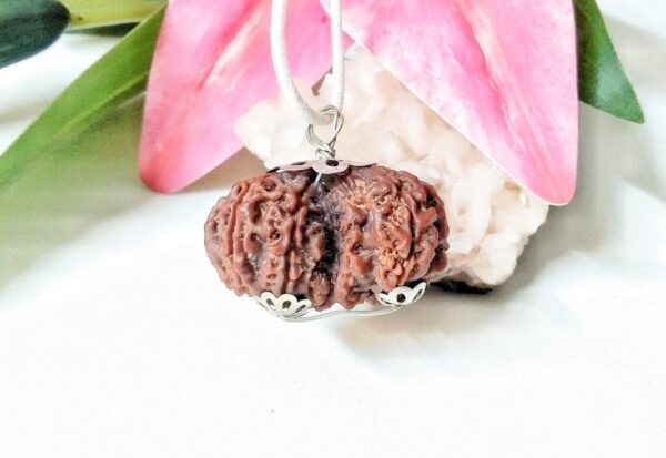 Buy 8 Mukhi Gaurishankar Rudraksha Nepal, 31.63mm size in silver pendant