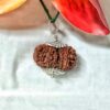 Buy 17 Mukhi Rudraksha Nepal, 32.04mm size in silver pendant