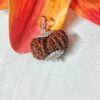 Buy 17 Mukhi Rudraksha Nepal, 32.04mm size in silver pendant
