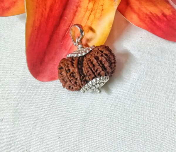 Buy 17 Mukhi Rudraksha Nepal, 32.04mm size in silver pendant