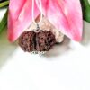 Online 9 Mukhi Gaurishankar Rudraksha Nepal, 33.20 mm size in silver pendant