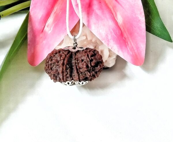 Online 9 Mukhi Gaurishankar Rudraksha Nepal, 33.20 mm size in silver pendant