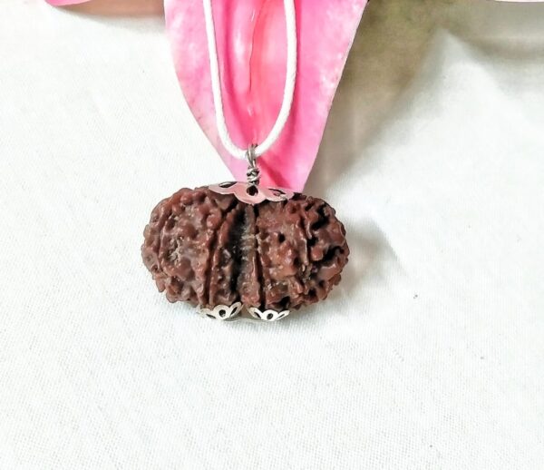 Buy 9 Mukhi Gaurishankar Rudraksha Nepal, 33.20 mm size in silver pendant