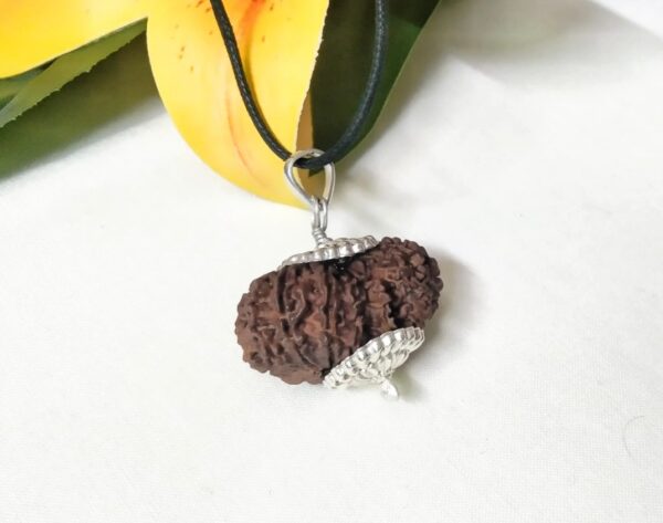 Buy 17 Mukhi Rudraksha Nepal, 33.28mm size in silver pendant