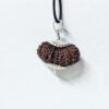 Buy 17 Mukhi Rudraksha Nepal, 33.28mm size in silver pendant