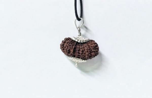 Buy 17 Mukhi Rudraksha Nepal, 33.28mm size in silver pendant
