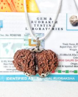 Lab tested 10 Mukhi Gaurishankar Rudraksha Nepal, 33.88mm size in silver pendant
