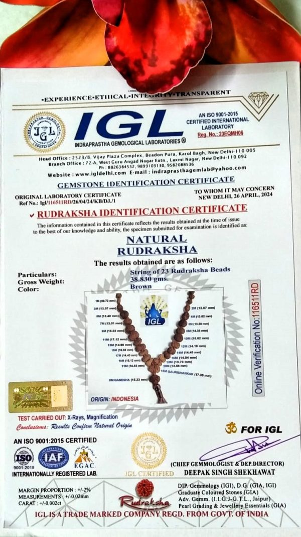 Indra Mala certificate pic