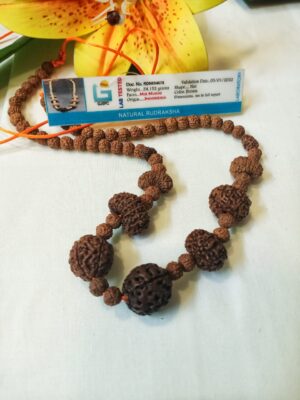 Navagraha Rudraksha Mala