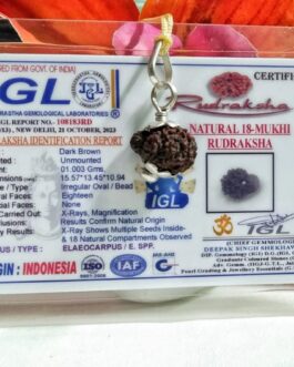 Lab tested 18 Mukhi Rudraksha Indonesia, 15.57mm size in silver pendant