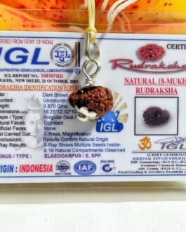 Lab tested 18 Mukhi Rudraksha Indonesia, 16.28mm size in silver pendant
