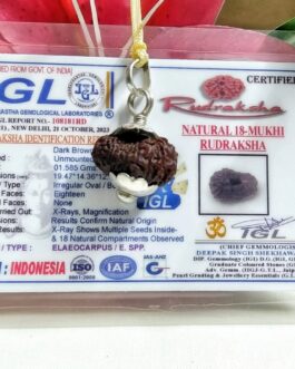 Lab tested 18 Mukhi Rudraksha Indonesia, 19.47mm size in silver pendant
