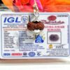 Lab tested 18 Mukhi Rudraksha Indonesia, 19.70mm size in silver pendant