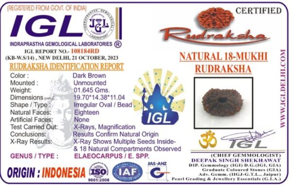 Lab tested 18 Mukhi Rudraksha Indonesia, 19.70mm size in silver pendant