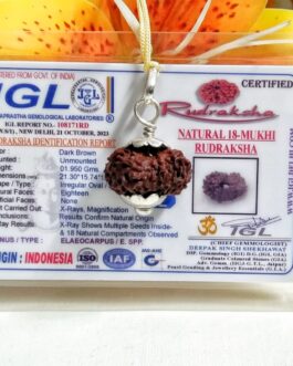Lab tested 18 Mukhi Rudraksha Indonesia, 21.30mm size in silver pendant