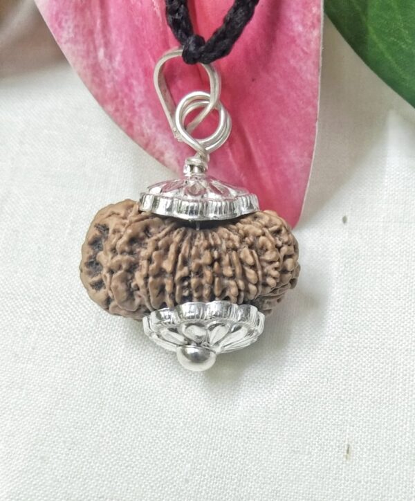 Shop 17 Mukhi Rudraksha Nepal, 25.98mm size in silver pendant