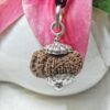 Buy 17 Mukhi Rudraksha Nepal, 25.98mm size in silver pendant