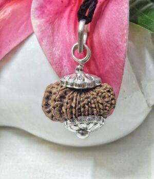 Buy 17 Mukhi Rudraksha Nepal, 25.98mm size in silver pendant
