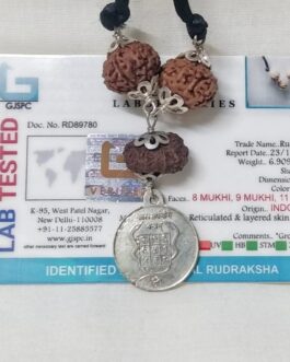 Lab tested Kalsarpa (Indonesian) Rudraksha 8 Mukhi, 9 Mukhi, 11 Mukhi in pendant and silver kalsarpa yantra