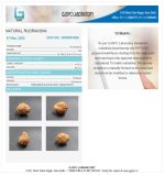 15 Mukhi Certificate