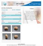 15 Mukhi Certificate