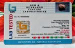 15 mukhi certificate pic