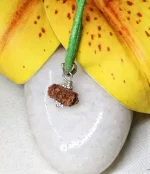 15-mukhi-rudraksha-pic