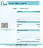 1-14 Mukhi lab Certificate